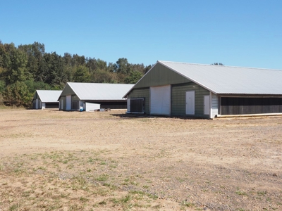Nice 4 House Poultry Broiler Farm with 43 Acres Central MS - image 3