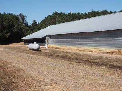 Nice 4 House Poultry Broiler Farm with 43 Acres Central MS - image 17