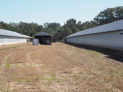 Nice 4 House Poultry Broiler Farm with 43 Acres Central MS - image 10