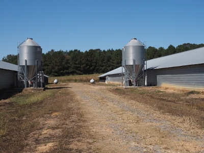 Nice 4 House Poultry Broiler Farm with 43 Acres Central MS - image 4