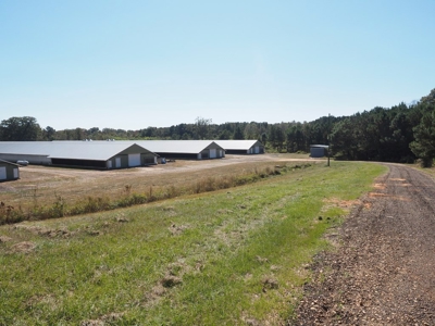 Nice 4 House Poultry Broiler Farm with 43 Acres Central MS - image 8