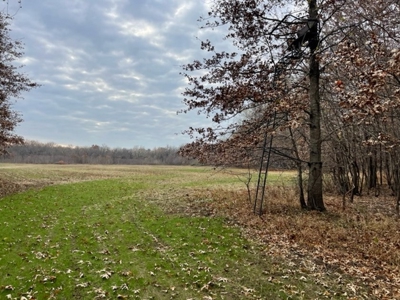 Vernon County Missouri Recreational Property For Sale - image 15