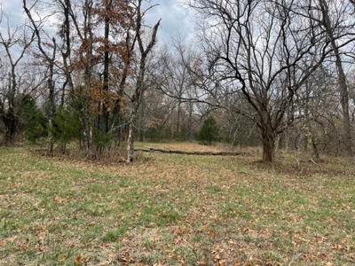 Vernon County Missouri Recreational Property For Sale - image 31