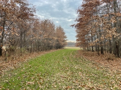 Vernon County Missouri Recreational Property For Sale - image 14