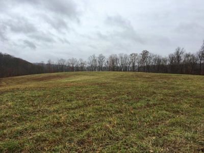 Farm-Cropland-Hunting-Recreation-Building Sites - image 2