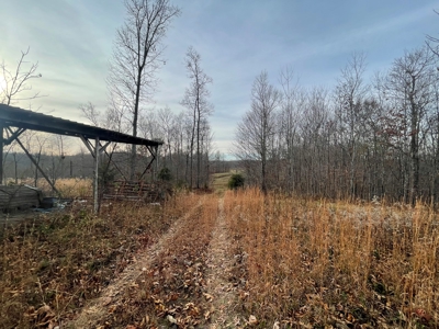 Farm-Cropland-Hunting-Recreation-Building Sites - image 7
