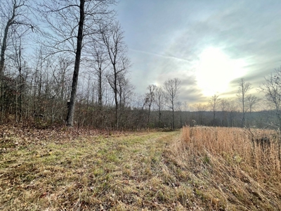 Farm-Cropland-Hunting-Recreation-Building Sites - image 6