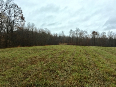 Farm-Cropland-Hunting-Recreation-Building Sites - image 4
