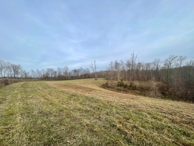 Farm-Cropland-Hunting-Recreation-Building Sites - image 8