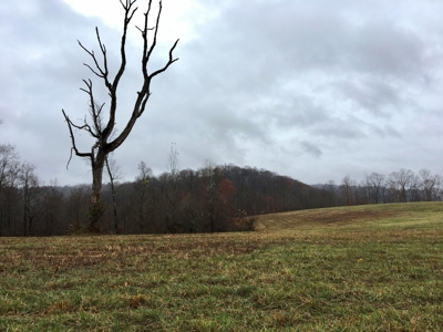 Farm-Cropland-Hunting-Recreation-Building Sites - image 1