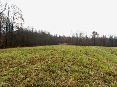 Farm-Cropland-Hunting-Recreation-Building Sites - image 3