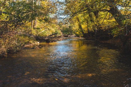 Recreational Land On The Smith River In Patrick County Va! - image 2