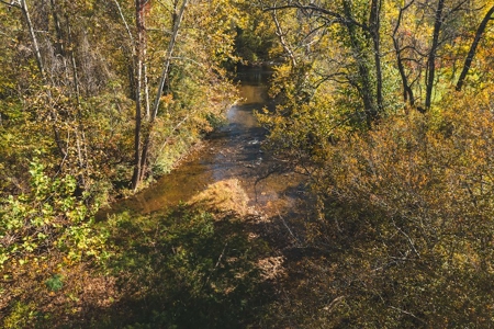 Recreational Land On The Smith River In Patrick County Va! - image 5