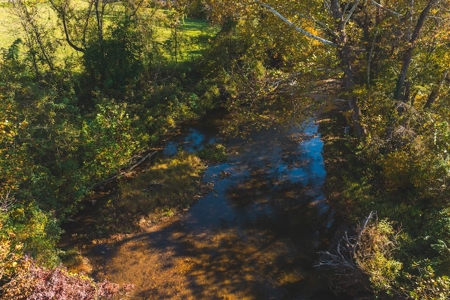 Recreational Land On The Smith River In Patrick County Va! - image 8
