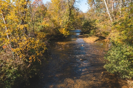 Recreational Land On The Smith River In Patrick County Va! - image 6
