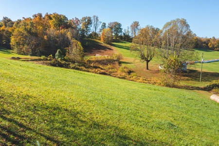 Recreational Land On The Smith River In Patrick County Va! - image 22