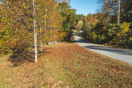 Recreational Land On The Smith River In Patrick County Va! - image 20
