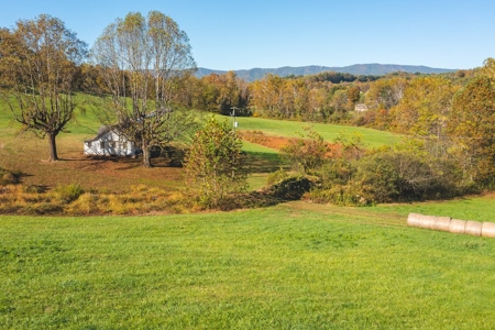 Recreational Land On The Smith River In Patrick County Va! - image 24