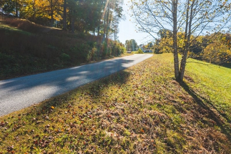 Recreational Land On The Smith River In Patrick County Va! - image 21