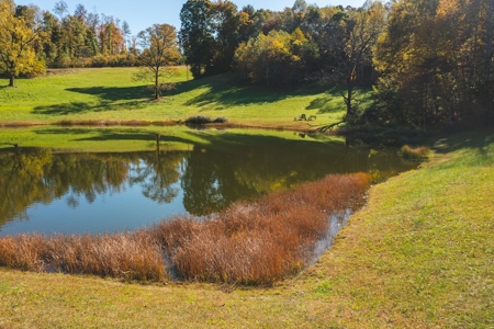 Recreational Land On The Smith River In Patrick County Va! - image 14