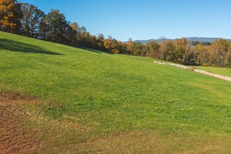 Recreational Land On The Smith River In Patrick County Va! - image 16