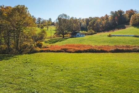 Recreational Land On The Smith River In Patrick County Va! - image 9