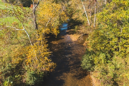 Recreational Land On The Smith River In Patrick County Va! - image 7