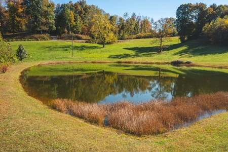 Recreational Land On The Smith River In Patrick County Va! - image 13