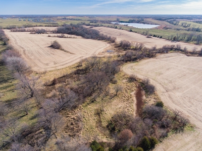 Sullivan County MO Row Crop Farm with Hunting Investment - image 5