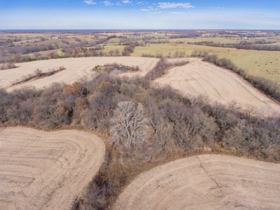 Sullivan County MO Row Crop Farm with Hunting Investment - image 13