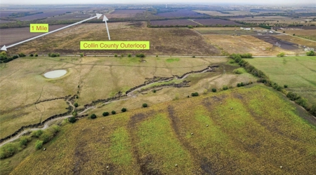 Land For Sale near Farmersville, Tx in Collin County - image 7