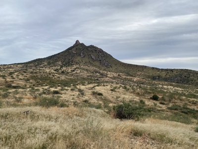 Silver Creek Ranch, Douglas Az, Online Land Auction - image 2