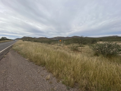 Silver Creek Ranch, Douglas Az, Online Land Auction - image 8