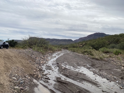 Silver Creek Ranch, Douglas Az, Online Land Auction - image 7