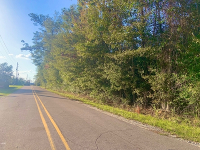 35 Acres Land for Sale Petal, MS - image 4