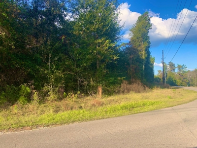 35 Acres Land for Sale Petal, MS - image 3