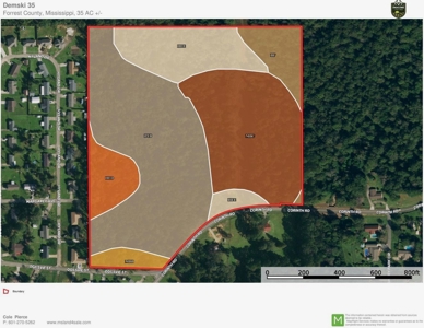 35 Acres Land for Sale Petal, MS - image 13