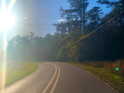 35 Acres Land for Sale Petal, MS - image 9