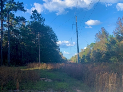 35 Acres Land for Sale Petal, MS - image 6