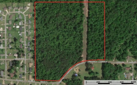 35 Acres Land for Sale Petal, MS - image 10