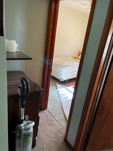 3 Bedroom, 1 Bath Home Robinson, IL | For Sale at Auction - image 6