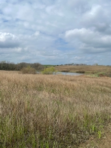 Gentry County Missouri CRP/Timber/Pond Excellent Hunting - image 1