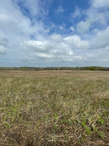 Gentry County Missouri CRP/Timber/Pond Excellent Hunting - image 3