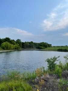 Gentry County Missouri CRP/Timber/Pond Excellent Hunting - image 7