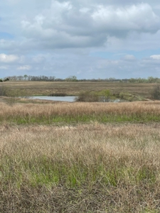 Gentry County Missouri CRP/Timber/Pond Excellent Hunting - image 9