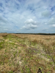 Gentry County Missouri CRP/Timber/Pond Excellent Hunting - image 8