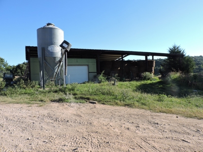 Large Farm 525 Acre Timber Pasture For Sale Harrison - image 3