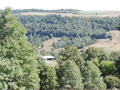 Large Farm 525 Acre Timber Pasture For Sale Harrison - image 38