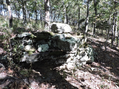 Large Farm 525 Acre Timber Pasture For Sale Harrison - image 25