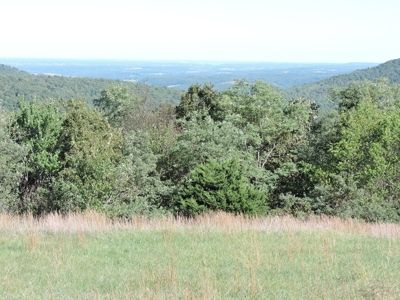 Large Farm 525 Acre Timber Pasture For Sale Harrison - image 26